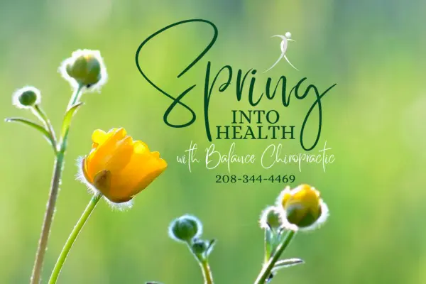 Chiropractor Boise ID Spring into Health Poster